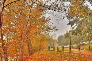 ebro